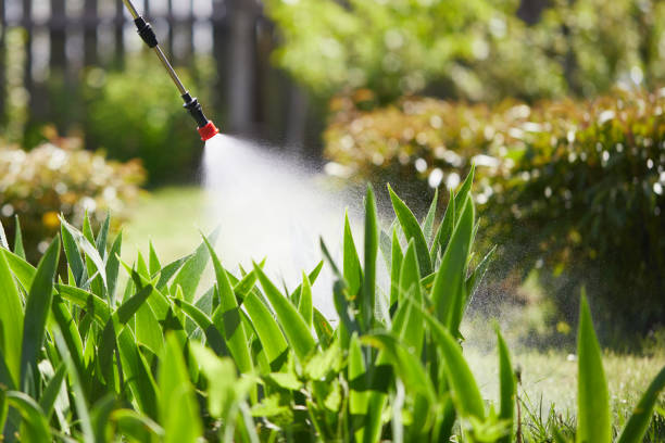 24/7 Emergency Wasp Removal experts in Cashmere, WA